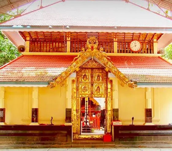 Meticulous Cochin