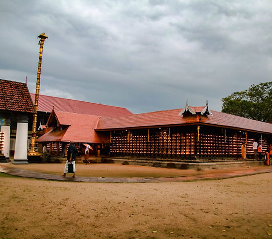 Meticulous Cochin