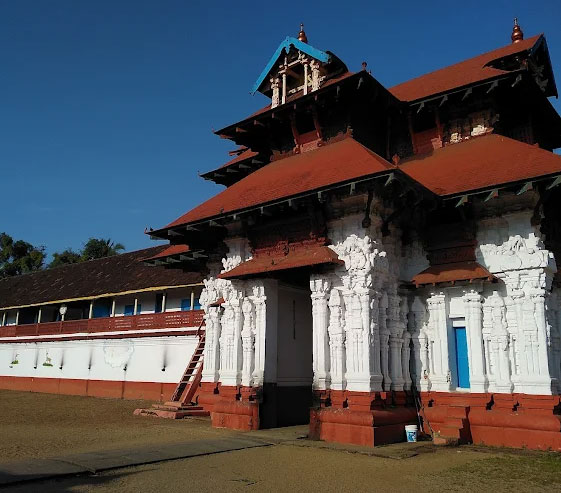 Meticulous Cochin